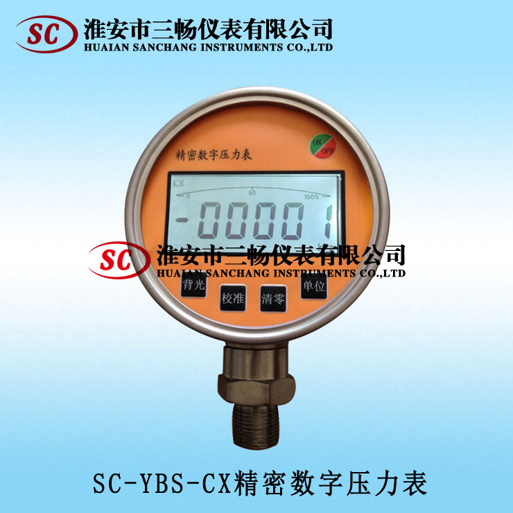 YBS-CX精密数字压力表
